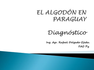 Ing. Agr. Rafael Delgado Ojeda. 
FAO Py.  