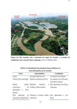12
12
Figura 2.6. Rio Guandu, com a formação da Lagoa do Guandu e os pontos de
confluência com os rios dos Poços e Ipiranga. (Fonte: CAMPOS, 2005)
Tabela 2.2. Identificação das principais fontes poluidoras na
bacia hidrográfica do rio Guandu.
Fonte Ação poluidora Localização
Areais Extração ilegal de areia Ao longo do rio Guandu
Coleta de lixo municipal Depósito clandestino de lixo Às margens do rio Guandu,
município de Japeri
Região urbana
(municípios de
Queimados e Nova
Iguaçu)
Efluentes sanitários e
resíduos sólidos urbanos
Rios Queimados, dos Poços
e Ipiranga.
Pólo Industrial do
município de Queimados
Efluentes e resíduos sólidos
industriais.
Rios Queimados e dos
Poços
Lagoa do
Guandu
Rio Ipiranga
Rio dos Poços
Rio Guandu
 