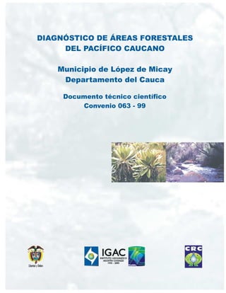 DIAGNOSTICO DE AREAS FORESTALES DEL PACIFICO CAUCANO

1

 