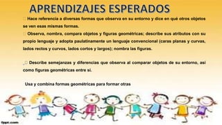 Hace referencia a diversas formas que observa en su entorno y dice en qué otros objetos
se ven esas mismas formas.
Observa, nombra, compara objetos y figuras geométricas; describe sus atributos con su
propio lenguaje y adopta paulatinamente un lenguaje convencional (caras planas y curvas,
lados rectos y curvos, lados cortos y largos); nombra las figuras.
Describe semejanzas y diferencias que observa al comparar objetos de su entorno, así
como figuras geométricas entre sí.
Usa y combina formas geométricas para formar otras
 