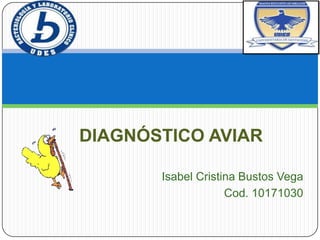 DIAGNÓSTICO AVIAR
Isabel Cristina Bustos Vega
Cod. 10171030

 