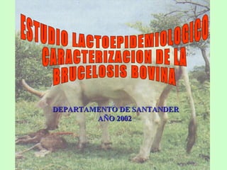 ESTUDIO LACTOEPIDEMIOLOGICO CARACTERIZACION DE LA  BRUCELOSIS BOVINA DEPARTAMENTO DE SANTANDER AÑO 2002  