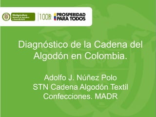 Diagnóstico de la Cadena del Algodón en Colombia. 
Adolfo J. Núñez Polo 
STN Cadena Algodón Textil Confecciones. MADR  