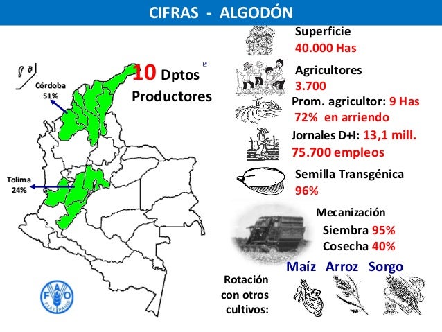 Departamentos Productores De Cafe En Colombia Departamentos Productores De Cafe En Colombia