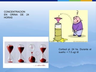 CONCENTRACION
EN ORINA DE 24
HORAS




                 Cortisol pl. 24 hs. Durante el
                 sueño: < 7.5 ug/ dl
 