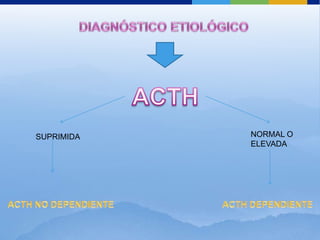 SUPRIMIDA   NORMAL O
            ELEVADA
 