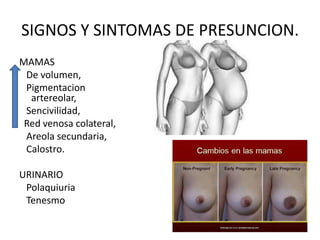 SIGNOS Y SINTOMAS DE PRESUNCION.MAMAS  De volumen, Pigmentacionartereolar,Sencivilidad, Red venosa colateral,  Areola secundaria,   Calostro.URINARIOPolaquiuria   Tenesmo