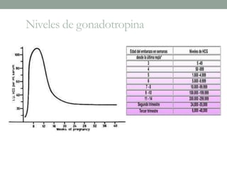 Niveles de gonadotropina
 