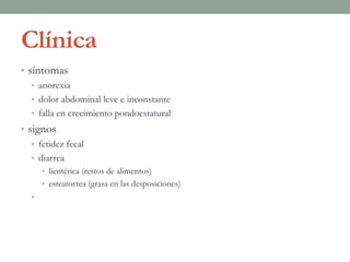 Clínica
• síntomas
• anorexia
• dolor abdominal leve e inconstante
• falla en crecimiento pondoestatural
• signos
• fetidez fecal
• diarrea
• lientérica (restos de alimentos)
• esteatorrea (grasa en las desposiciones)
•
 