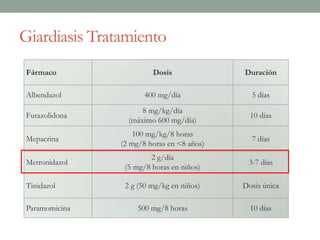 Giardiasis Tratamiento
Fármaco Dosis Duración
Albendazol 400 mg/día 5 días
Furazolidona
8 mg/kg/día
(máximo 600 mg/día)
10 días
Mepacrina
100 mg/kg/8 horas
(2 mg/8 horas en <8 años)
7 días
Metronidazol
2 g/día
(5 mg/8 horas en niños)
3-7 días
Tinidazol 2 g (50 mg/kg en niños) Dosis única
Paramomicina 500 mg/8 horas 10 días
 