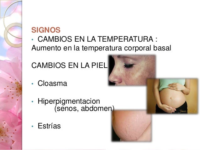 El aumento del pecho por los embriones del trigo