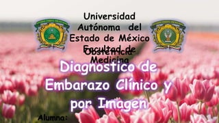 Universidad
Autónoma del
Estado de México
Facultad de
Medicina
Obstetricia
Diagnostico de
Embarazo Clínico y
por Imagen
Alumna:
 
