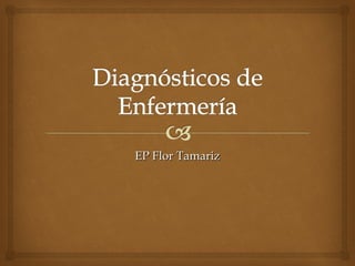 EP Flor Tamariz
 