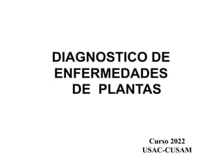 DIAGNOSTICO DE
ENFERMEDADES
DE PLANTAS
Curso 2022
USAC-CUSAM
 