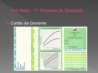  Cartão da Gestante
 