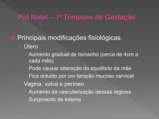 Principais modificações fisiológicas
› Útero
 Aumento gradual de tamanho (cerca de 4cm a
cada mês)
 Pode causar alteração do equilíbrio da mãe
 Fica ocluido por um tampão mucoso cervical
› Vagina, vulva e períneo
 Aumento da vascularização dessas regioes
 Surgimento de edema
 