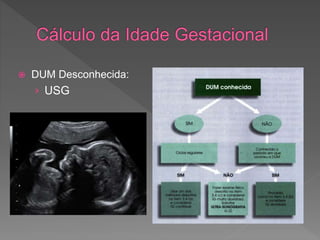  DUM Desconhecida:
› USG
 