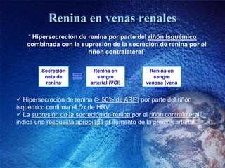 Renina en venas renales
   “ Hipersecreción de renina por parte del riñón isquémico
   combinada con la supresión de la se...