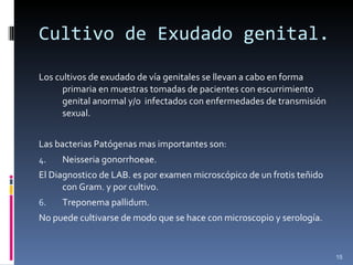 Cultivo de Exudado genital. Los cultivos de exudado de vía genitales se llevan a cabo en forma primaria en muestras tomadas de pacientes con escurrimiento genital anormal y/o  infectados con enfermedades de transmisión sexual. Las bacterias Patógenas mas importantes son: Neisseria gonorrhoeae. El Diagnostico de LAB. es por examen microscópico de un frotis teñido con Gram. y por cultivo. Treponema pallidum. No puede cultivarse de modo que se hace con microscopio y serología.  