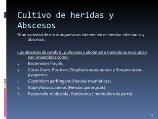 Cultivo de heridas y Abscesos Gran variedad de microorganismos intervienen en heridas infectadas y abscesos. Los abscesos de cerebro , pulmones y abdomen a menudo se relacionan con  anaerobios como: Bacteroides fragilis. Cocos Gram. Positivos (Staphylococcus aureus y Streptococcus pyogenes). Clostridium perfringens (Heridas traumáticas). Staphylococcuaureus (Heridas quirúrgicas). Pasteurella  multocida , Rabdovirus ( mordedura de perro) 