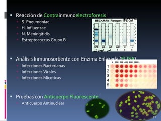 Reacción de  Contra inmuno electroforesis S. Pneumoniae H. Influenzae N. Meningitidis Estreptococcus Grupo B Análisis Inmunosorbente con Enzima Enlazada ( ELISA ) Infecciones Bacterianas Infecciones Virales Infecciones Micoticas Pruebas con  Anticuerpo Fluorescente Anticuerpo Antinuclear 