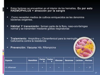 Estos factores se encuentran en el interior de los hematíes . Es por esto HAEMOPHILUS = atracción por la sangre Como necesitan medios de cultivos enriquecidos se les denomina bacterias exigentes. Hábitat Y transmisión:  forman parte de la flora, naso-oro-faringea normal y se transmiten mediante gotitas respiratorias Tratamiento:  Ampicilina y Cloramfenicol para la meningitis. Ceftriaxona o Cefuroxima contra la resistencia Prevención: Vacuna  Hib, Rifampicina Especie Hemólisis Factor X Factor V Glucosa Sacarosa Lactosa Manosa H. influenzae – + + + – – –  