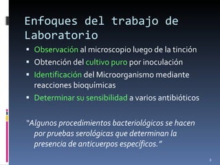Enfoques del trabajo de Laboratorio Observación  al microscopio luego de la tinción Obtención del  cultivo puro  por inoculación Identificación  del Microorganismo mediante reacciones bioquímicas Determinar su sensibilidad  a varios antibióticos “ Algunos procedimientos bacteriológicos se hacen por pruebas serológicas que determinan la presencia de anticuerpos específicos.”  