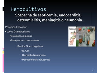 Hemocultivos Sospecha de septicemia, endocarditis, osteomielitis, meningitis o neumonía. Podemos Encontrar: cocos Gram positivos Estafilococo aureus Estreptococo pneumoniae Bacilos Gram negativos E. Coli Klebsiella Neumoniae Pseudomonas aeruginosa 