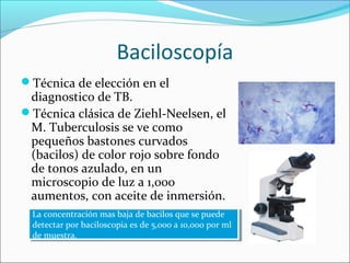 Baciloscopía
Técnica de elección en el
 diagnostico de TB.
Técnica clásica de Ziehl-Neelsen, el
 M. Tuberculosis se ve como
 pequeños bastones curvados
 (bacilos) de color rojo sobre fondo
 de tonos azulado, en un
 microscopio de luz a 1,000
 aumentos, con aceite de inmersión.
  La concentración mas baja de bacilos que se puede
   La concentración mas baja de bacilos que se puede
  detectar por baciloscopia es de 5,000 aa10,000 por ml
   detectar por baciloscopia es de 5,000 10,000 por ml
  de muestra.
   de muestra.
 