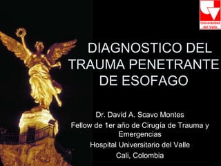 DIAGNOSTICO DEL
TRAUMA PENETRANTE
   DE ESOFAGO

       Dr. David A. Scavo Montes
Fellow de 1er año de Cirugía de Trauma y
               Emergencias
      Hospital Universitario del Valle
              Cali, Colombia
 