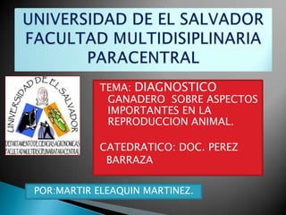 TEMA: DIAGNOSTICO
GANADERO SOBRE ASPECTOS
IMPORTANTES EN LA
REPRODUCCION ANIMAL.
CATEDRATICO: DOC. PEREZ
BARRAZA
POR:MARTIR ELEAQUIN MARTINEZ.

 