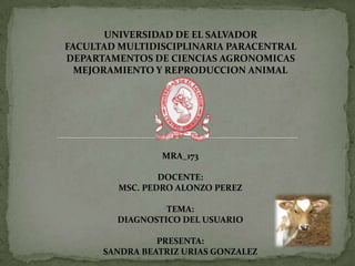 UNIVERSIDAD DE EL SALVADOR
FACULTAD MULTIDISCIPLINARIA PARACENTRAL
DEPARTAMENTOS DE CIENCIAS AGRONOMICAS
MEJORAMIENTO Y REPRODUCCION ANIMAL

MRA_173
DOCENTE:
MSC. PEDRO ALONZO PEREZ
TEMA:
DIAGNOSTICO DEL USUARIO
PRESENTA:
SANDRA BEATRIZ URIAS GONZALEZ

 