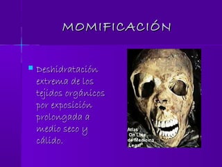 MOMIFICACIÓNMOMIFICACIÓN
 DeshidrataciónDeshidratación
extrema de losextrema de los
tejidos orgánicostejidos orgánicos
por exposiciónpor exposición
prolongada aprolongada a
medio seco ymedio seco y
cálido.cálido.
 