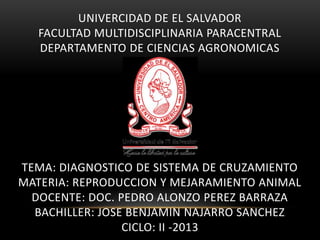 UNIVERCIDAD DE EL SALVADOR
FACULTAD MULTIDISCIPLINARIA PARACENTRAL
DEPARTAMENTO DE CIENCIAS AGRONOMICAS

TEMA: DIAGNOSTICO DE SISTEMA DE CRUZAMIENTO
MATERIA: REPRODUCCION Y MEJARAMIENTO ANIMAL
DOCENTE: DOC. PEDRO ALONZO PEREZ BARRAZA
BACHILLER: JOSE BENJAMIN NAJARRO SANCHEZ
CICLO: II -2013

 