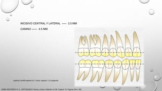 INCISIVO CENTRAL Y LATERAL ----- 3.5 MM
CANINO ------ 4.5 MM
URIBE RESTREPO G. A., ORTODONCIA Teoría y clínica, Editorial La CIB, Capitulo 16, Paginas 304 y 305.
capitulo 6 proffit,capitulo 6 y 7 canut, capitulo 1,2,3 gregroret
 