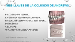 SEIS LLAVES DE LA OCLUSIÓN DE ANDREWS
I. RELACIÓN ENTRE MOLARES.
II. ANGULACIÓN MESIODISTAL DE LA CORONA.
III. INCLINACIÓN VESTIBULOLINGUAL DE LA CORONA.
IV. ROTACIONES.
V. DIASTEMAS.
VI. PLANOS OCLUSALES (CURVA DE SPEE).
URIBE RESTREPO G. A., ORTODONCIA Teoría y clínica, Editorial La CIB, Capitulo 16, Paginas 304 y 305.
capitulo 6 proffit,capitulo 6 y 7 canut, capitulo 1,2,3 gregroret
 
