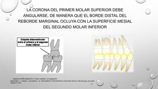 LA CORONA DEL PRIMER MOLAR SUPERIOR DEBE
ANGULARSE, DE MANERA QUE EL BORDE DISTAL DEL
REBORDE MARGINAL OCLUYA CON LA SUPERFICIE MESIAL
DEL SEGUNDO MOLAR INFERIOR
GREGORET J., TUBER E., ESCOBAR H., EL TRATAMIENTO ORTODONTICO CON ARCO RECTO, NM Ediciones, Año 2003,
Paginas 16 a 23.
capitulo 6 proffit,capitulo 6 y 7 canut, capitulo 1,2,3 gregroret
 
