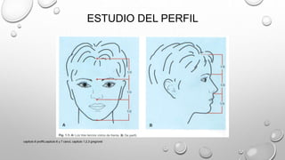 ESTUDIO DEL PERFIL
capitulo 6 proffit,capitulo 6 y 7 canut, capitulo 1,2,3 gregroret
 
