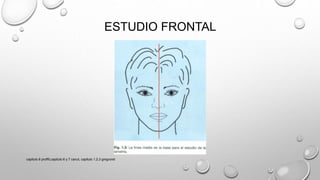 ESTUDIO FRONTAL
capitulo 6 proffit,capitulo 6 y 7 canut, capitulo 1,2,3 gregroret
 