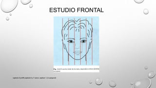 ESTUDIO FRONTAL
capitulo 6 proffit,capitulo 6 y 7 canut, capitulo 1,2,3 gregroret
 