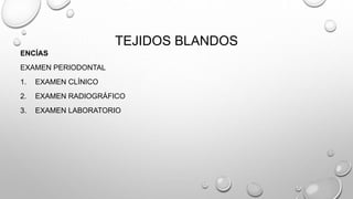 TEJIDOS BLANDOS
ENCÍAS
EXAMEN PERIODONTAL
1. EXAMEN CLÍNICO
2. EXAMEN RADIOGRÁFICO
3. EXAMEN LABORATORIO
 