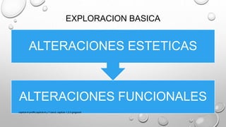 EXPLORACION BASICA
ALTERACIONES FUNCIONALES
ALTERACIONES ESTETICAS
capitulo 6 proffit,capitulo 6 y 7 canut, capitulo 1,2,3 gregroret
 