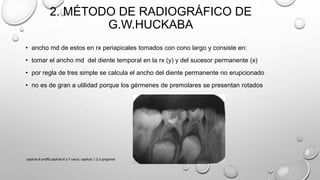 2. MÉTODO DE RADIOGRÁFICO DE
G.W.HUCKABA
• ancho md de estos en rx periapicales tomados con cono largo y consiste en:
• tomar el ancho md del diente temporal en la rx (y) y del sucesor permanente (x)
• por regla de tres simple se calcula el ancho del diente permanente no erupcionado
• no es de gran a utilidad porque los gérmenes de premolares se presentan rotados
capitulo 6 proffit,capitulo 6 y 7 canut, capitulo 1,2,3 gregroret
 