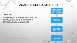 ANALISIS CEFALOMETRICO
• OBJETIVO
DETERMINA RELACIONES ESQUELÉTICAS Y
DENTALES QUE TIENE UN PACIENTE Y
CONTRIBUYE A SU MALOCLUSIÓN
COMPONENTE
FUNCIONAL
DE LA CARA
BASE DEL
CRANEO
MAXILARES
SUP E INF
DIENTEScapitulo 6 proffit,capitulo 6 y 7 canut, capitulo 1,2,3 gregroret
 