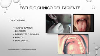 BUCODENTAL
• TEJIDOS BLANDOS
• DENTICIÓN
• DIFERENTES FUNCIONES
• HÁBITOS
• PERIODONTAL
ESTUDIO CLÍNICO DEL PACIENTE
capitulo 6 proffit,capitulo 6 y 7 canut, capitulo 1,2,3 gregroret
 