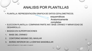 ANALISIS POR PLANTILLAS
• PLANTILLA: REPRESENTACIÓN GRAFICA DE DATOS CEFALOMETRICOS.
• ELECCION PLANTILLA- COMPARAR PARTE ANT. BASE CRANEO Y MIRAR EDAD DE
DESARROLLO.
• BASADA EN SUPERPOSICIONES
1. BASE DEL CRÁNEO
2. CONTORNO MÁXIMO DEL MAXILAR
3. BORDE INFERIOR DE LA SÍNFISIS MANDIBULAR
esquemáticas
Anatomicamente
completas
capitulo 6 proffit,capitulo 6 y 7 canut, capitulo 1,2,3 gregroret
 