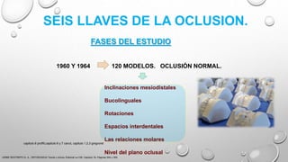 Inclinaciones mesiodistales
Bucolinguales
Rotaciones
Espacios interdentales
Las relaciones molares
Nivel del plano oclusal
SEIS LLAVES DE LA OCLUSION.
FASES DEL ESTUDIO
1960 Y 1964 120 MODELOS. OCLUSIÓN NORMAL.
URIBE RESTREPO G. A., ORTODONCIA Teoría y clínica, Editorial La CIB, Capitulo 16, Paginas 304 y 305.
capitulo 6 proffit,capitulo 6 y 7 canut, capitulo 1,2,3 gregroret
 