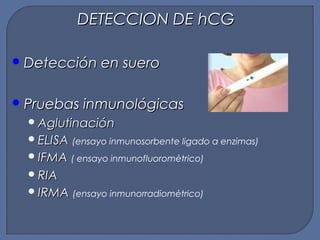 DETECCION DE hCGDETECCION DE hCG
 Detección en sueroDetección en suero
 Pruebas inmunológicasPruebas inmunológicas
AglutinaciónAglutinación
ELISAELISA (ensayo inmunosorbente ligado a enzimas)
IFMAIFMA ( ensayo inmunofluoromètrico)
RIARIA
IRMAIRMA (ensayo inmunorradiomètrico)
 