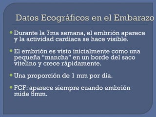 Durante la 7ma semana, el embrión aparece
y la actividad cardiaca se hace visible.
El embrión es visto inicialmente como una
pequeña “mancha” en un borde del saco
vitelino y crece rápidamente.
Una proporción de 1 mm por día.
FCF: aparece siempre cuando embrión
mide 5mm.
 