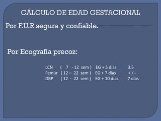 Por F.U.R segura y confiable.
Por Ecografía precoz:
LCN ( 7 - 12 sem ) EG + 5 días 3.5
Femúr ( 12 – 22 sem ) EG + 7 días + / -
DBP ( 12 - 22 sem ) EG + 10 días 7 días
 